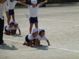 img0266.jpg
