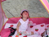 img0293.jpg