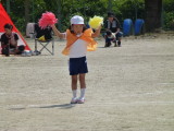 img0335.jpg