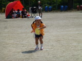img0362.jpg
