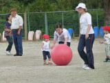 img0383.jpg