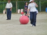 img0390.jpg