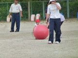 img0391.jpg