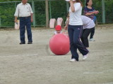 img0393.jpg