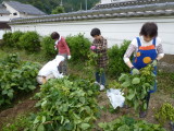 img0024.jpg