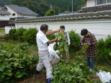 img0027.jpg