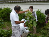 img0028.jpg