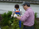 img0029.jpg