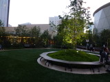 img0015.jpg