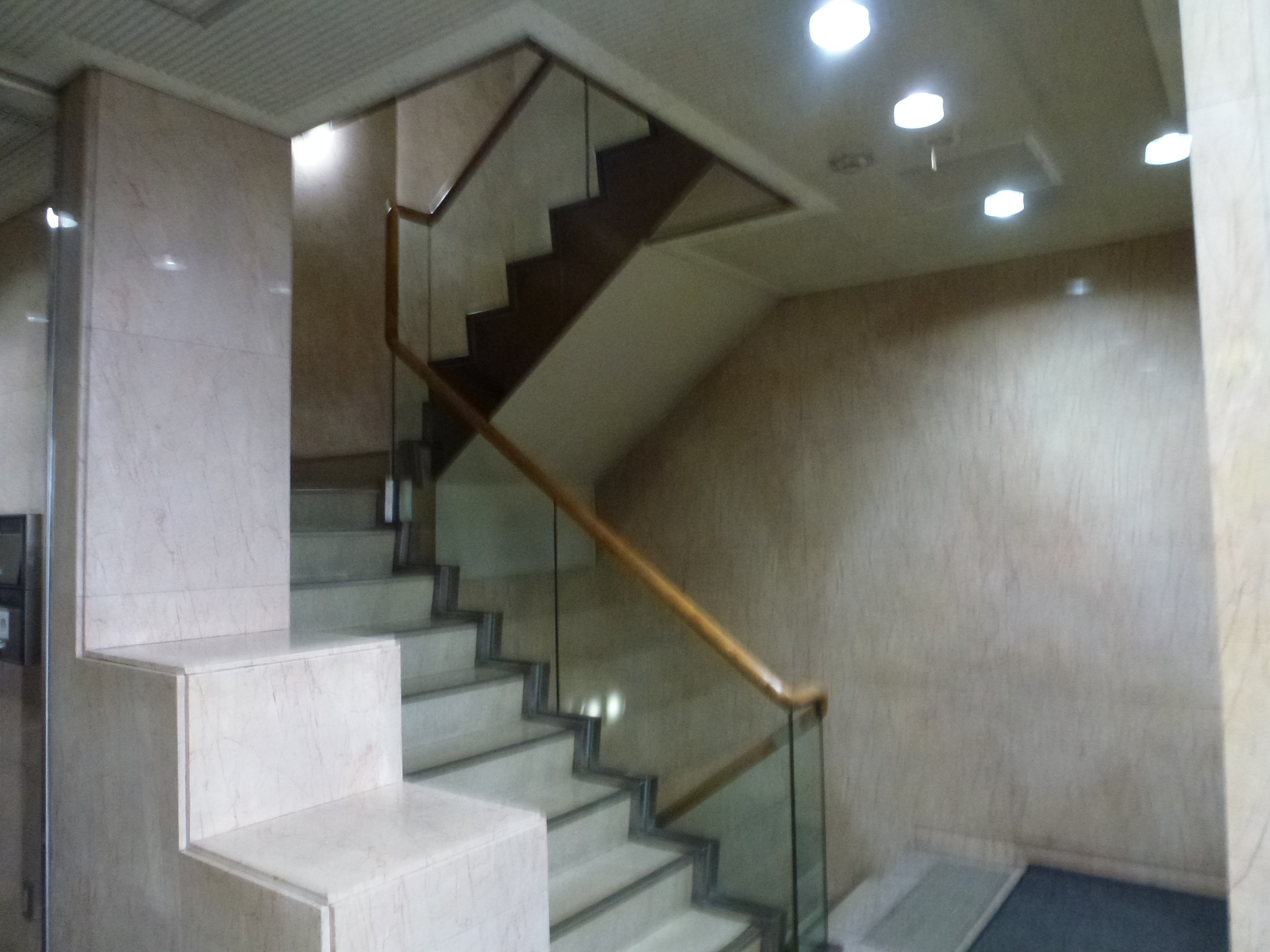P1070655.JPG