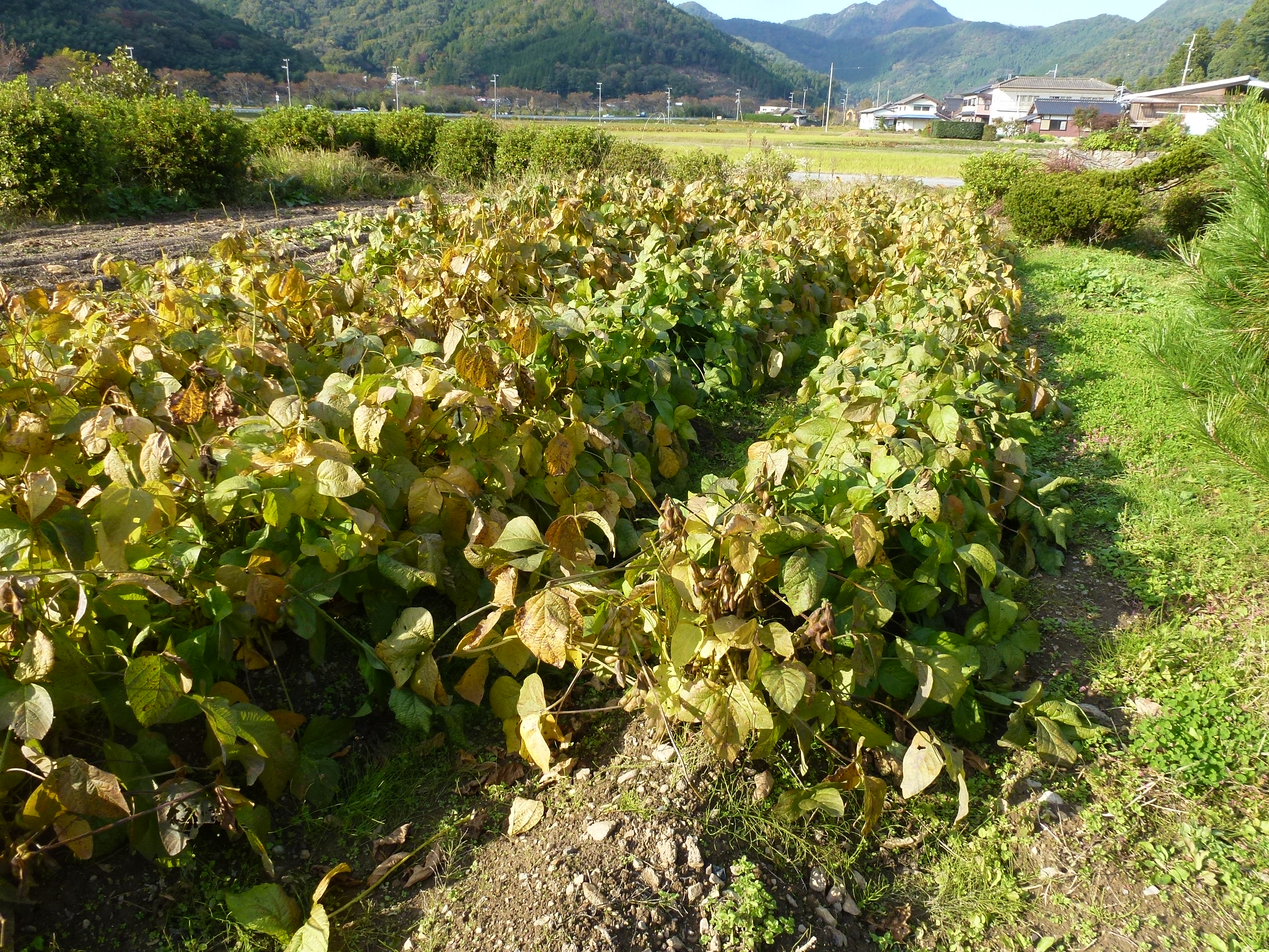 P1070666.JPG