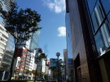img0010.jpg