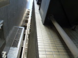 img0024.jpg