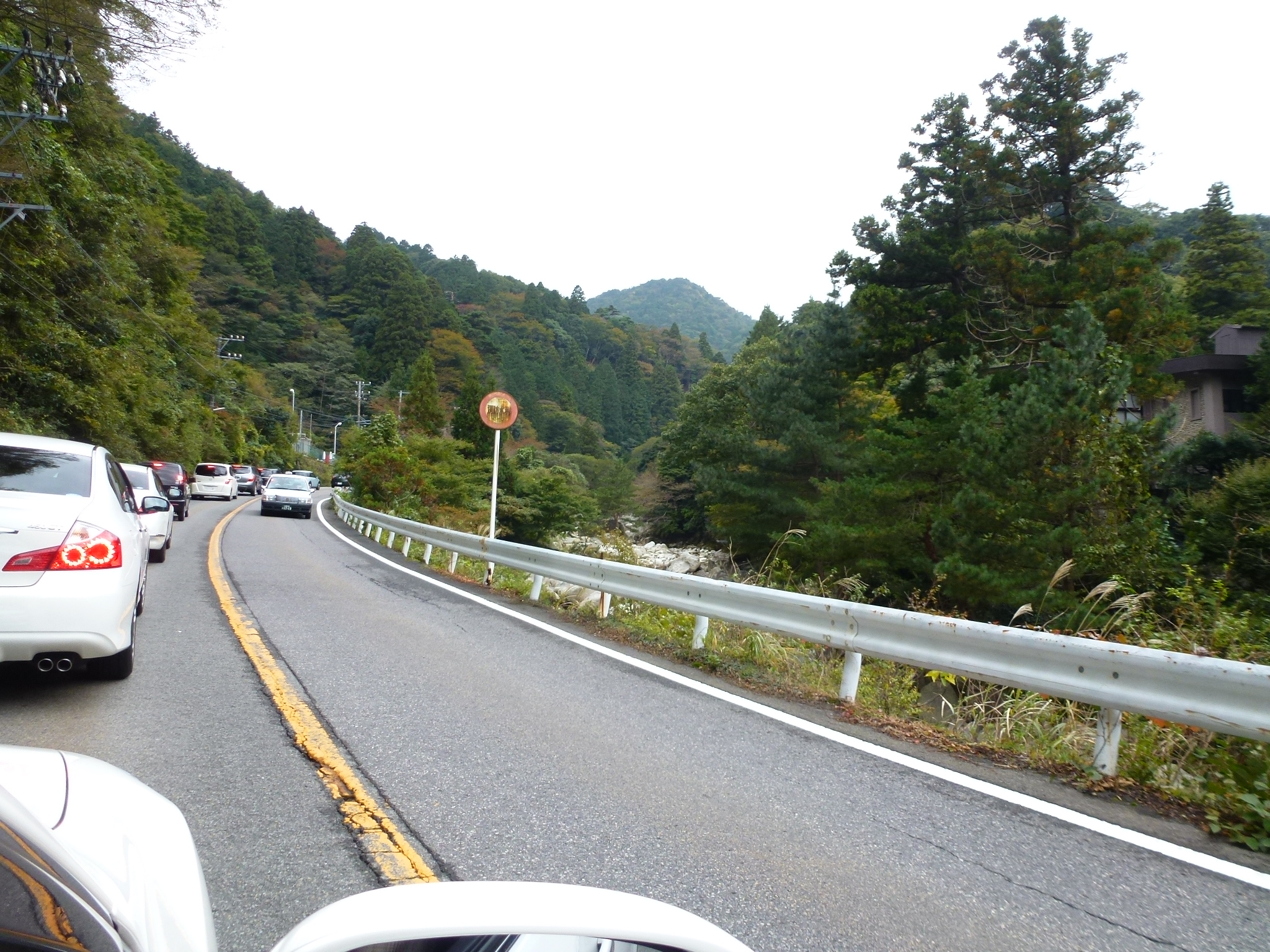 P1070684.JPG