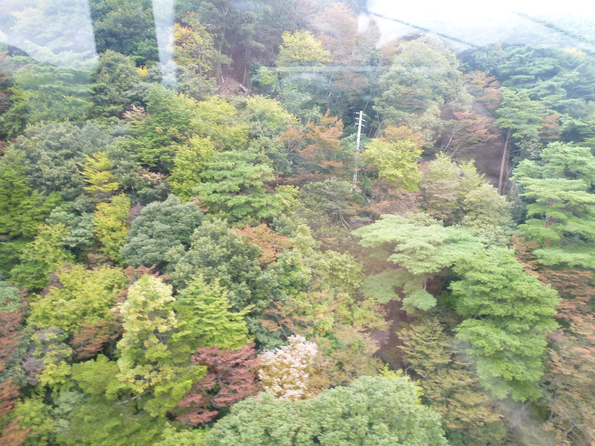 P1070698.JPG