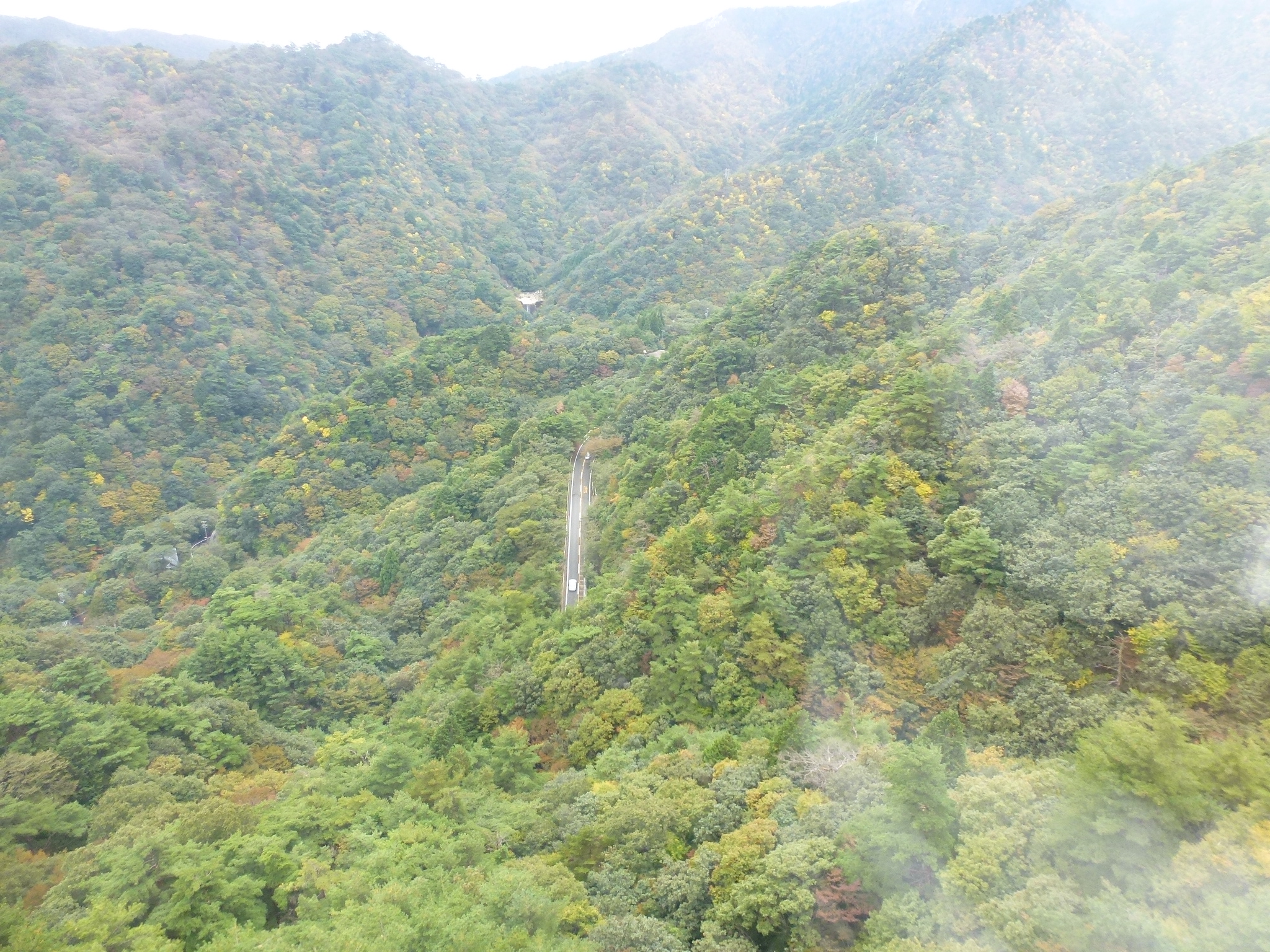 P1070700.JPG