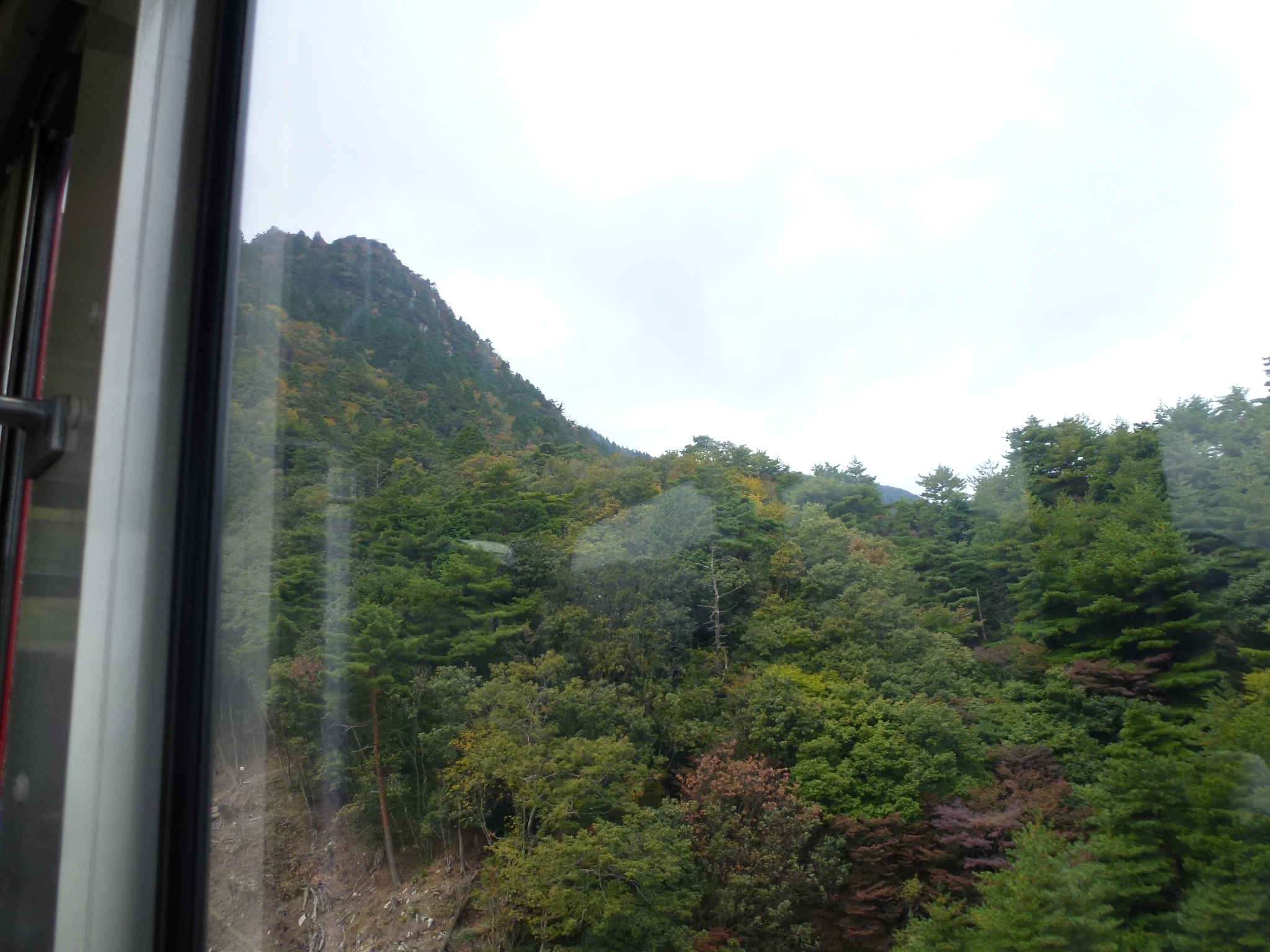 P1070701.JPG