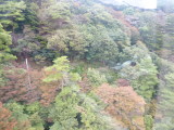 img0016.jpg