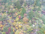 img0023.jpg