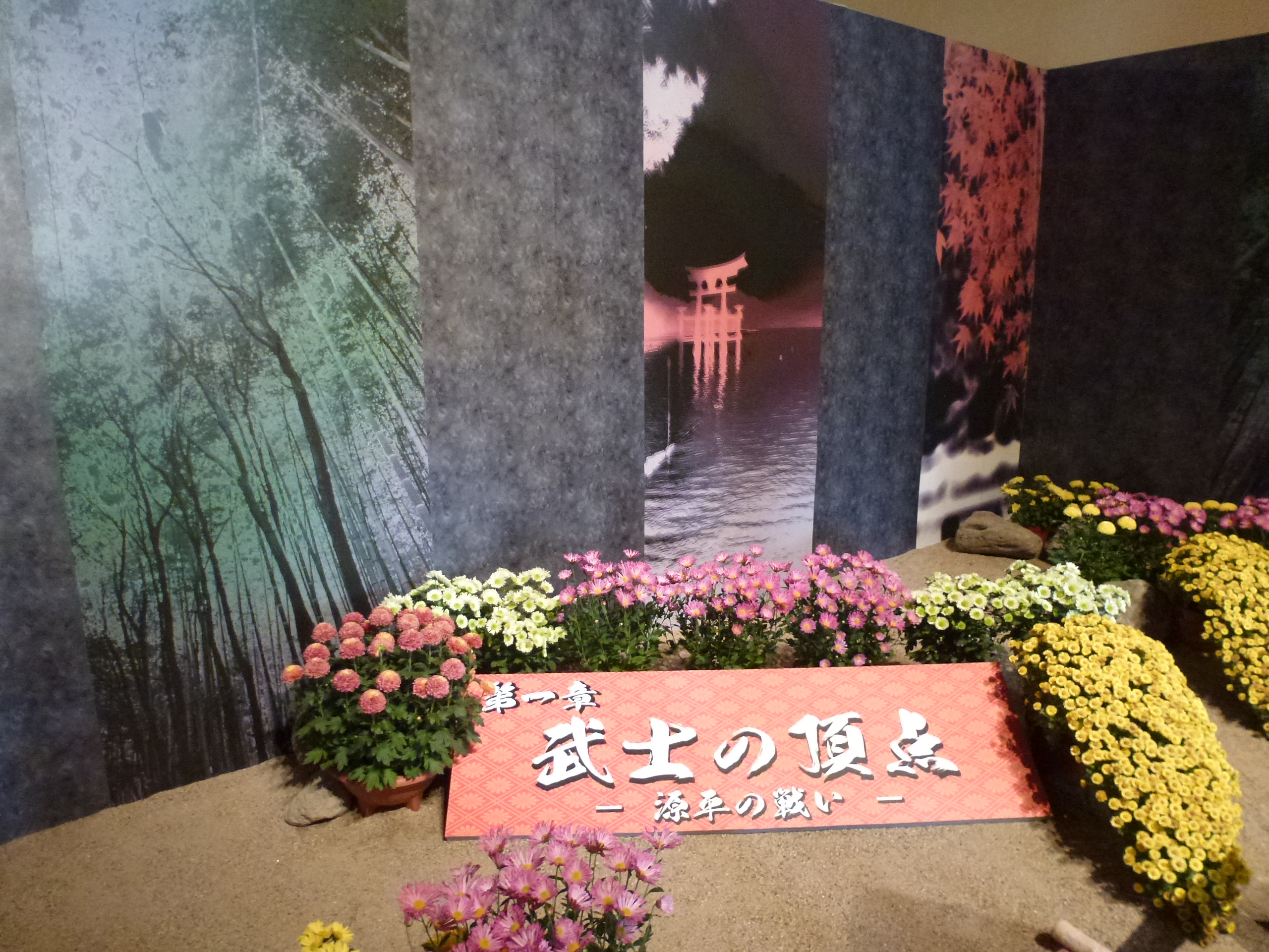 P1070736.JPG