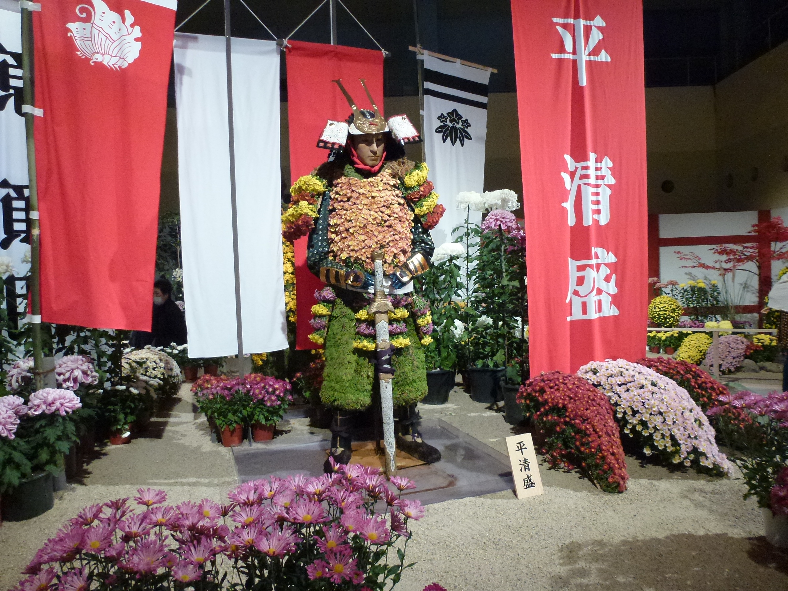 P1070737.JPG