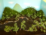 img0009.jpg