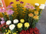 img0039.jpg