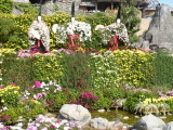 img0046.jpg