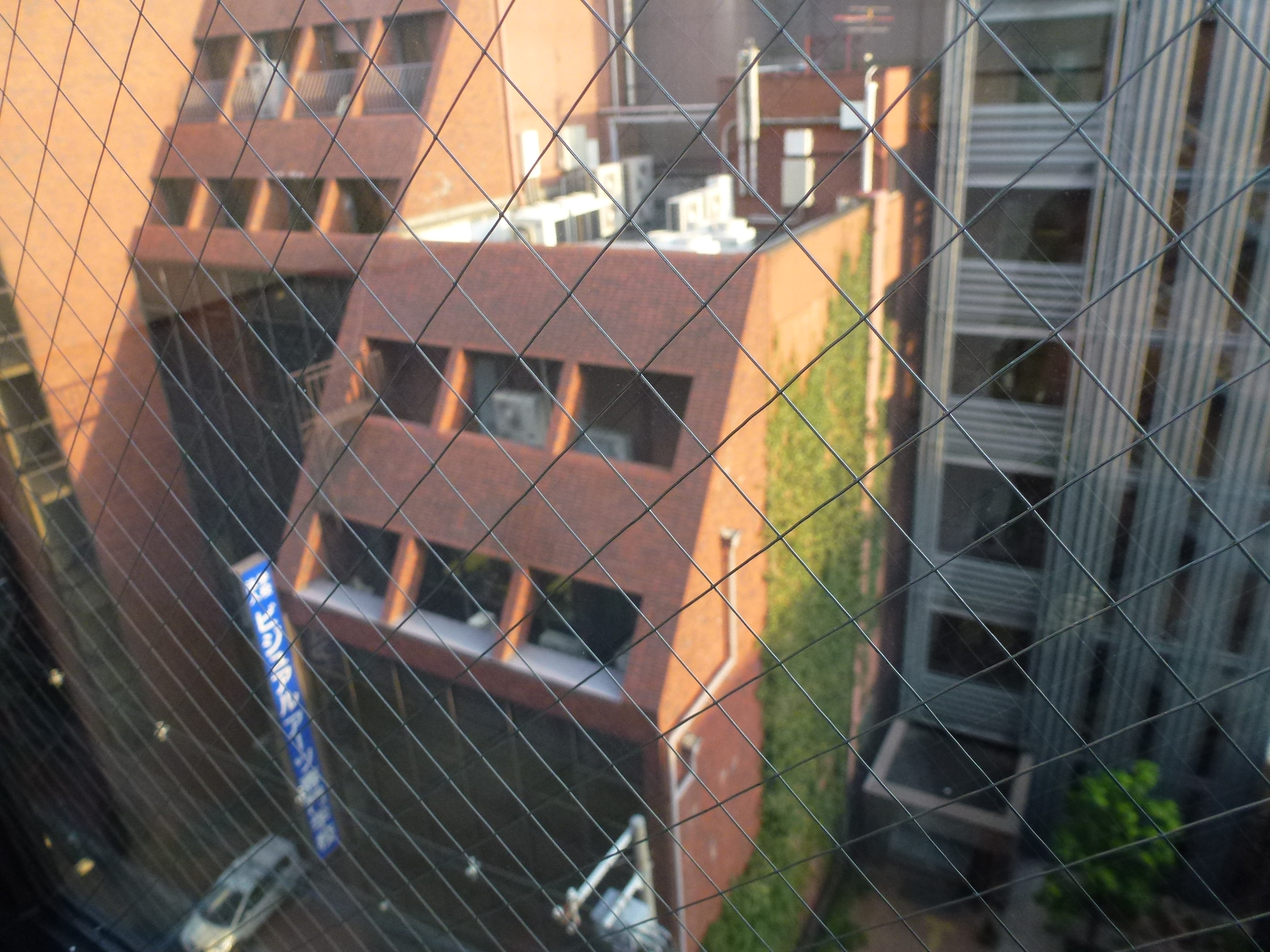 P1070948.JPG