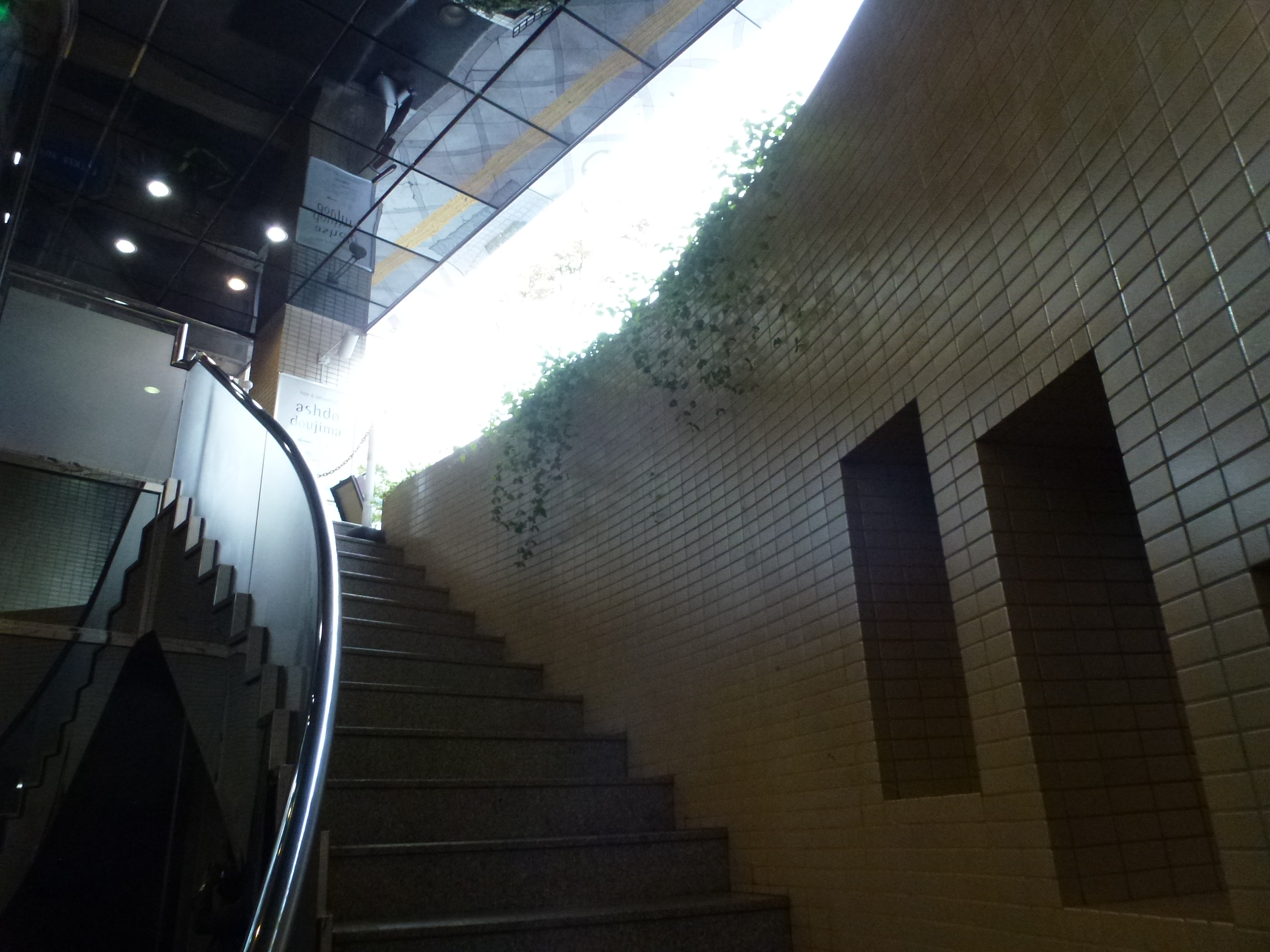 P1070961.JPG