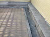 img0001.jpg