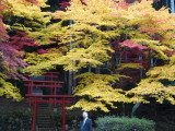 img0010.jpg