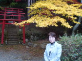img0011.jpg