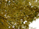 img0013.jpg