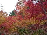 img0015.jpg