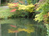 img0016.jpg