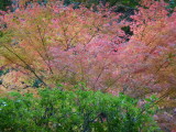 img0019.jpg