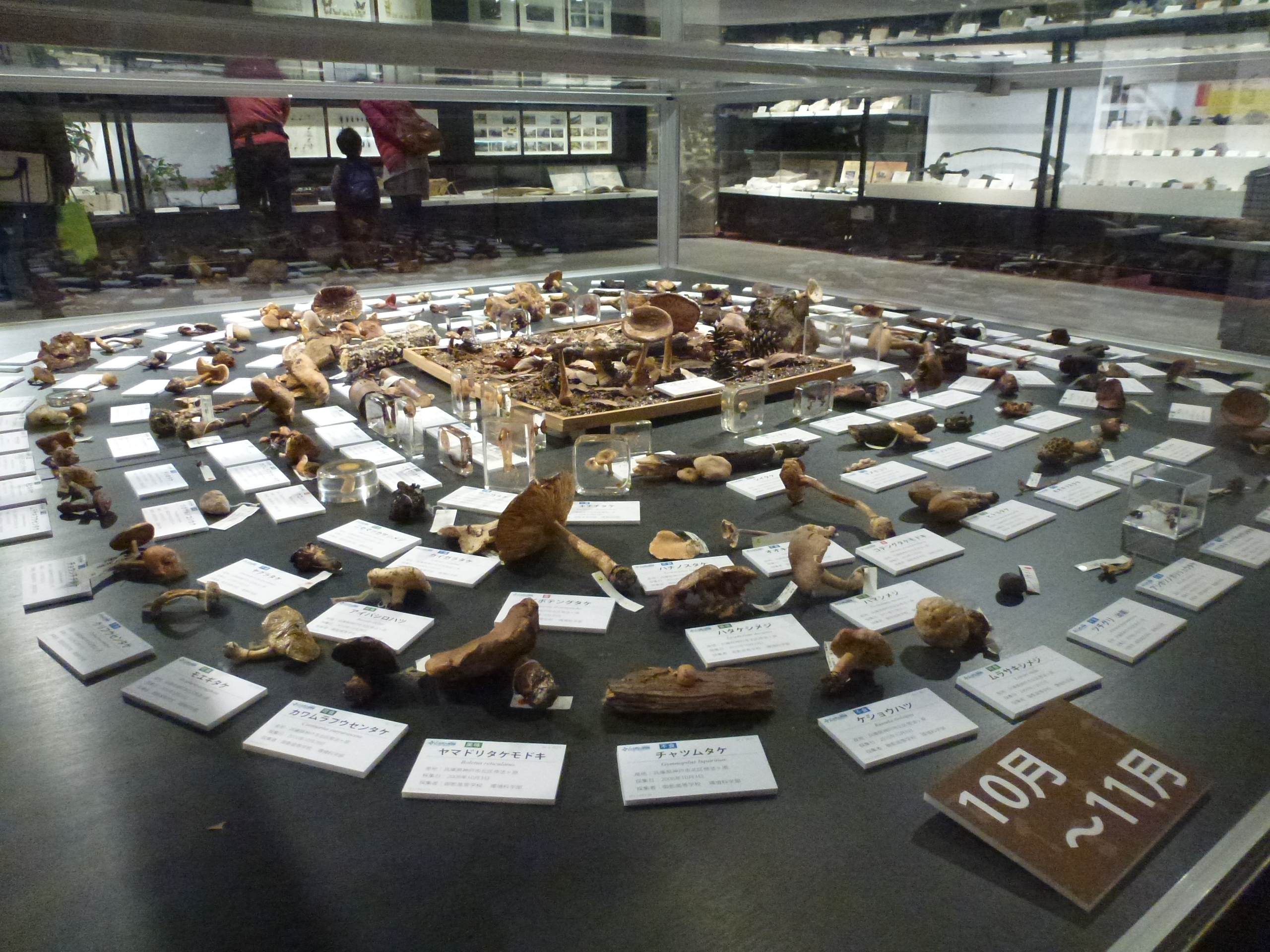 P1080024.JPG