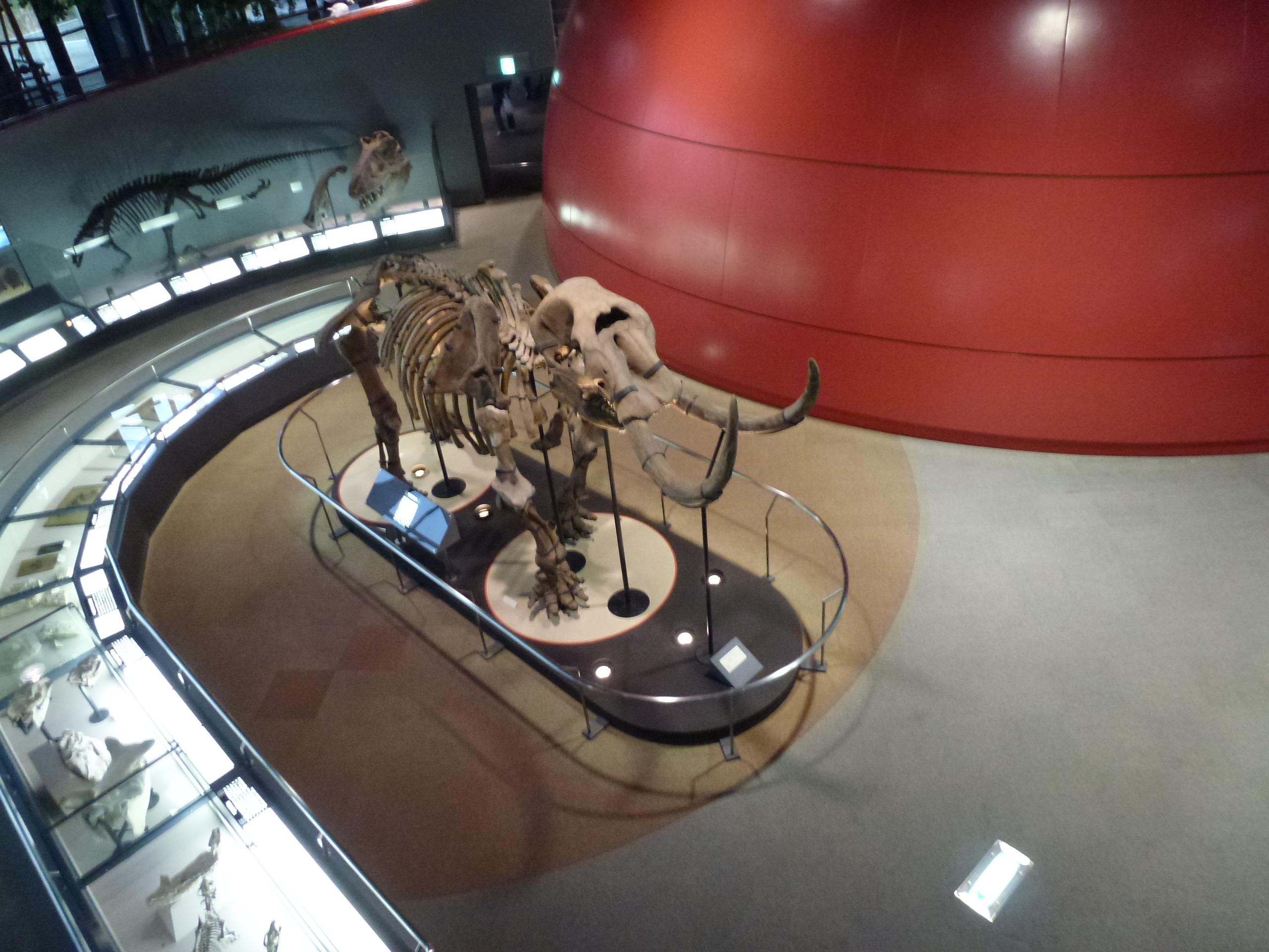 P1080027.JPG