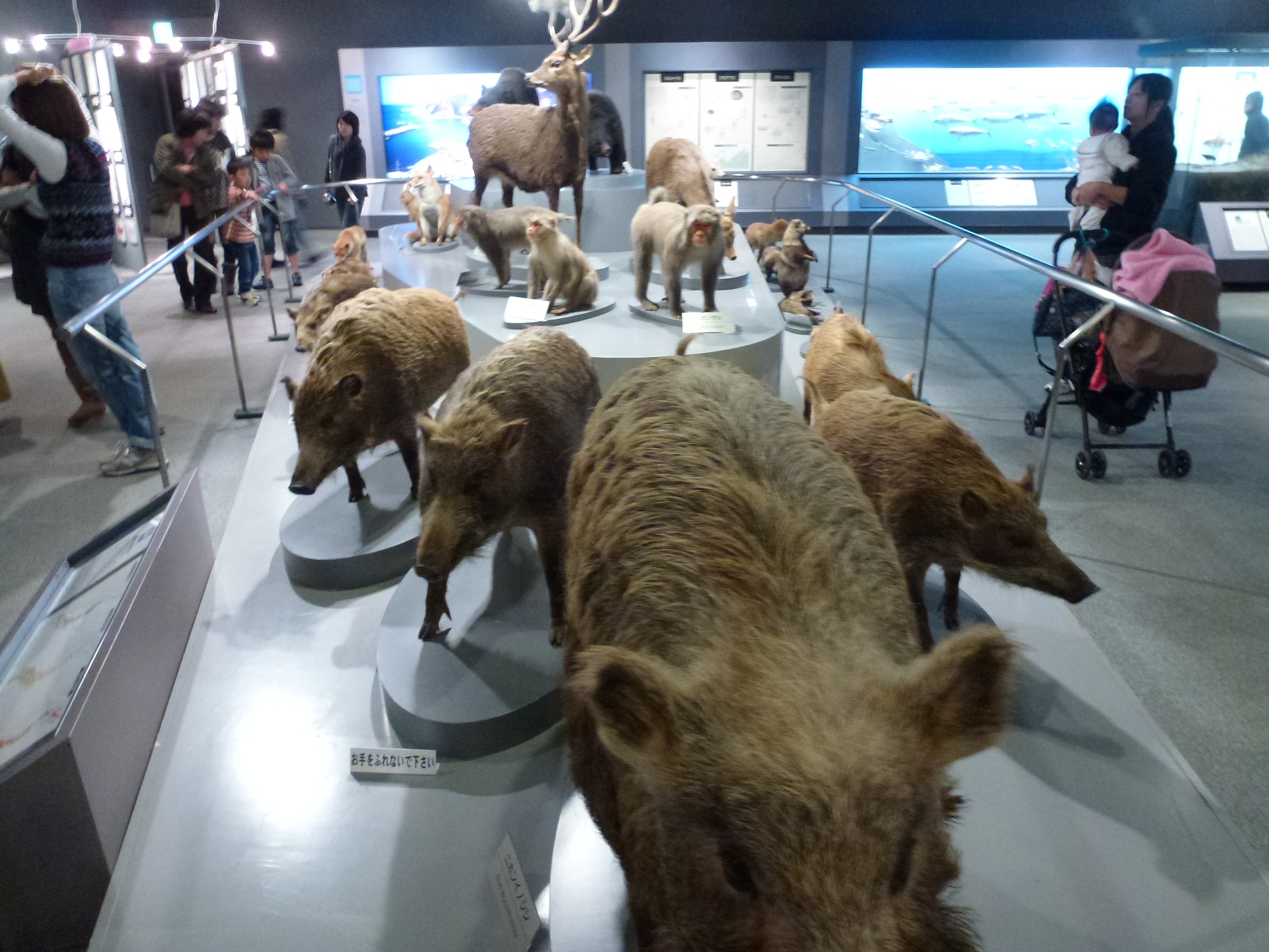 P1080029.JPG