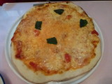 img0005.jpg
