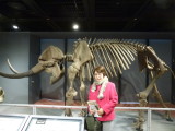 img0014.jpg