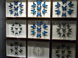 img0016.jpg