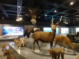 img0020.jpg