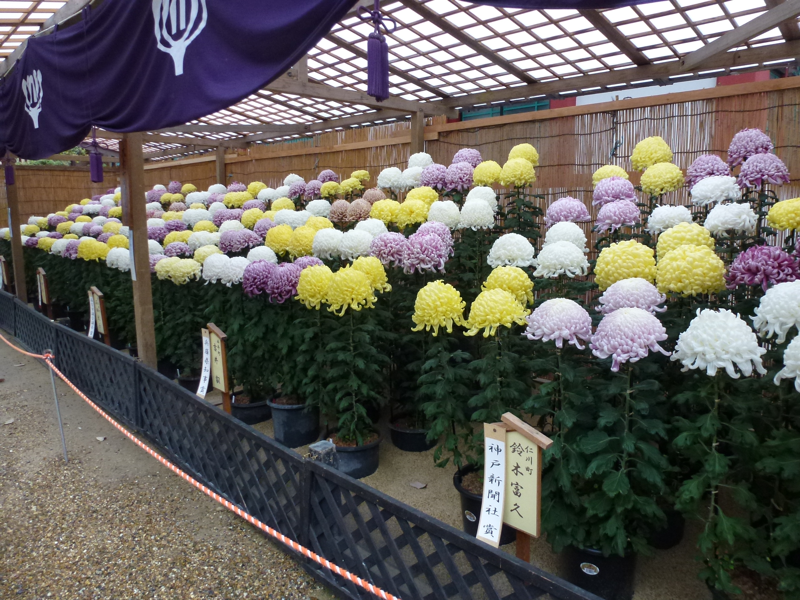 P1080081.JPG