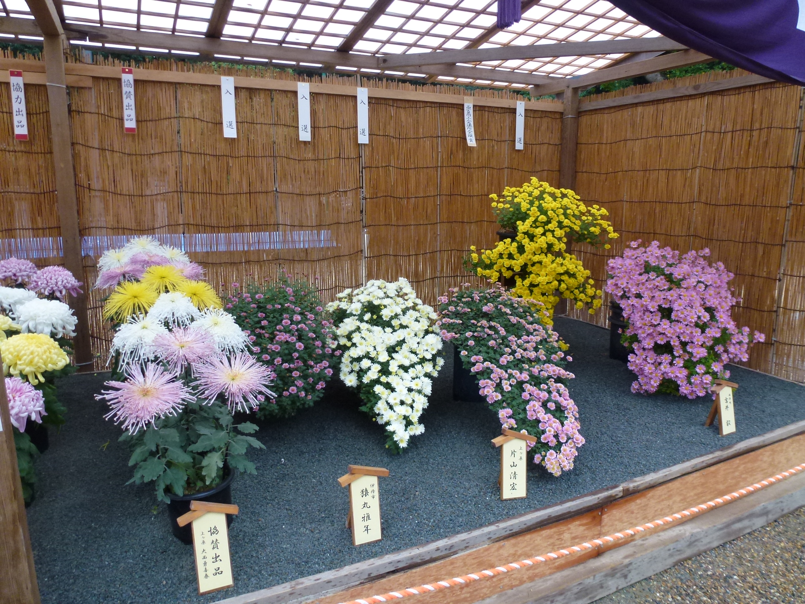 P1080085.JPG