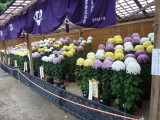 img0005.jpg
