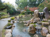 img0009.jpg