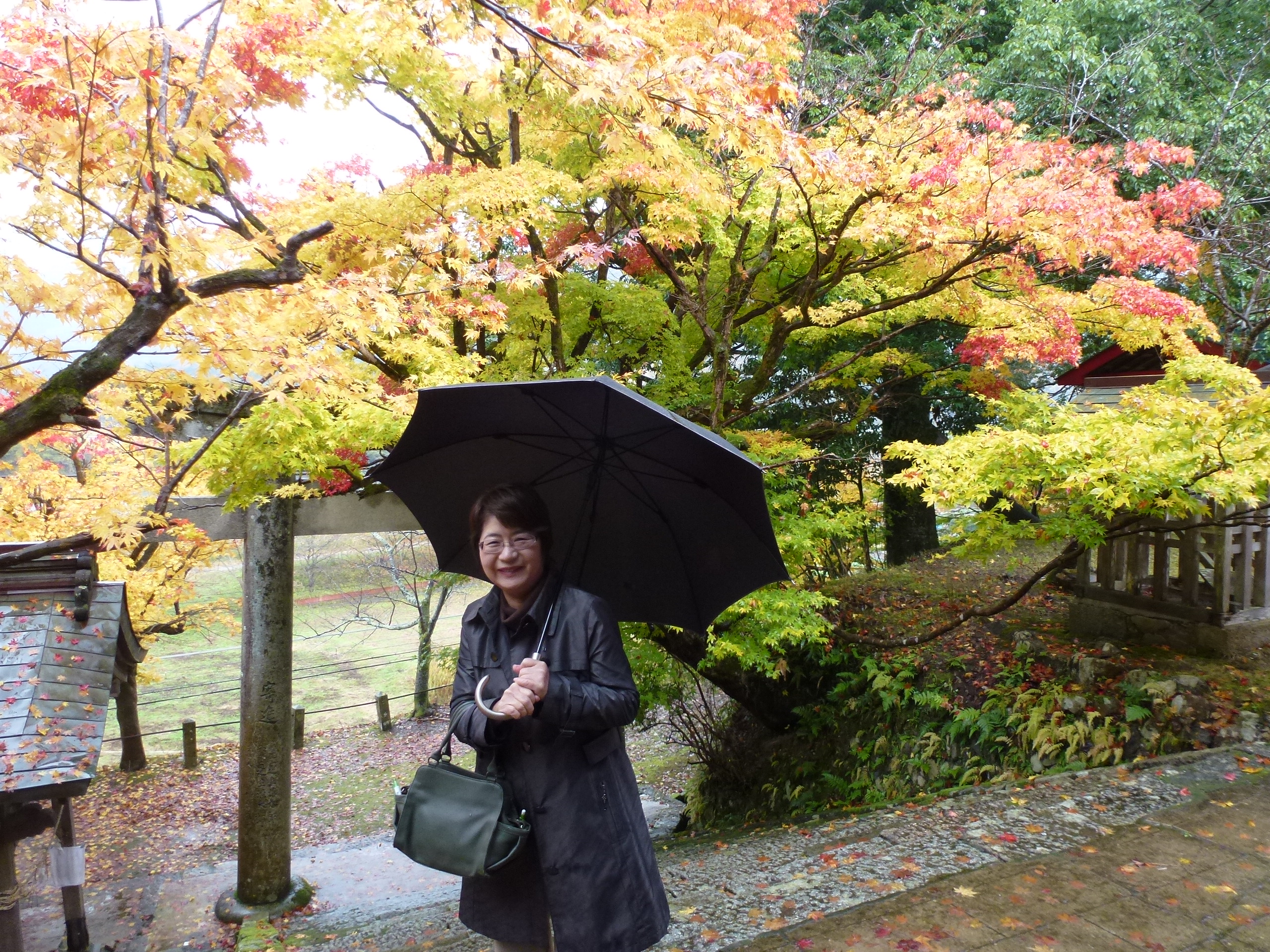 P1080100.JPG