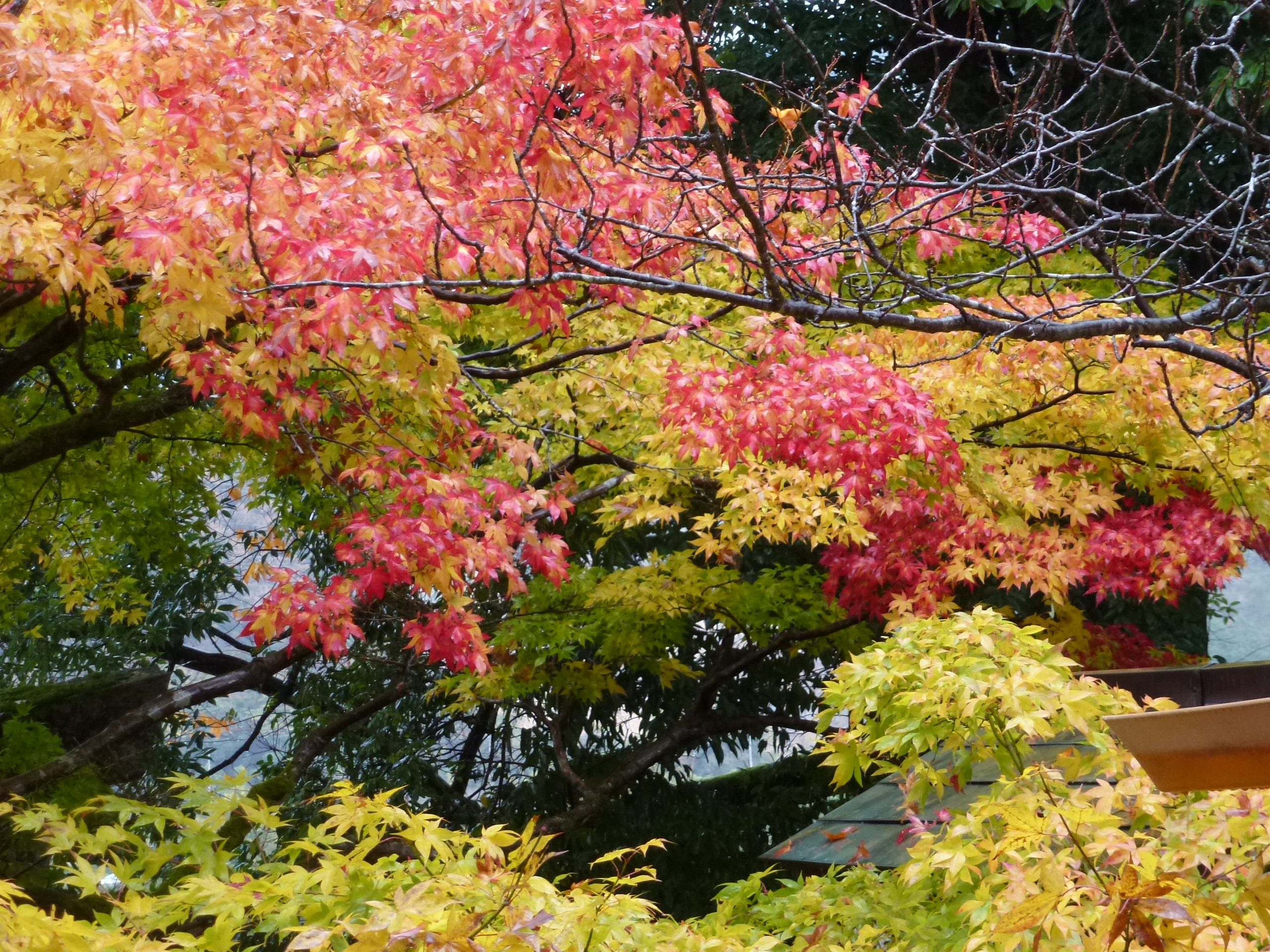 P1080102.JPG